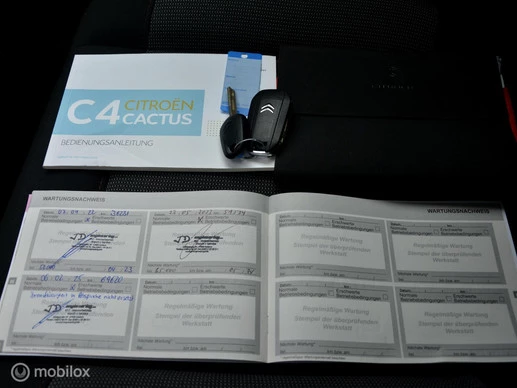 Citroën C4 Cactus - Afbeelding 25 van 26