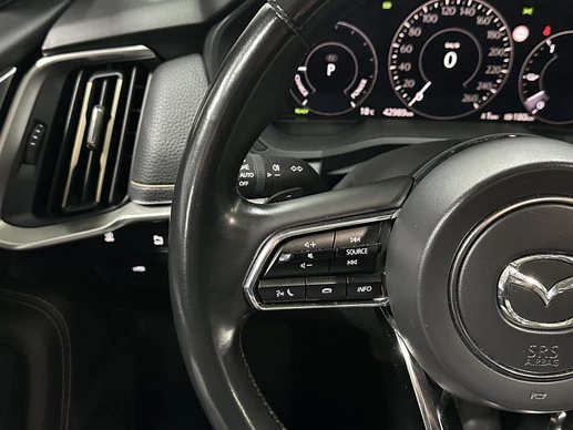 Mazda CX-60 - Afbeelding 13 van 30