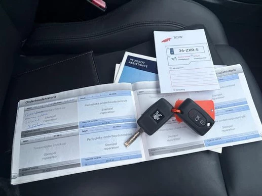 Peugeot RCZ - Afbeelding 13 van 18