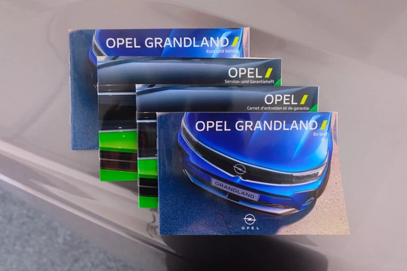 Opel Grandland - Afbeelding 28 van 29