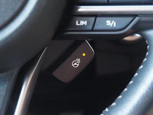 Subaru Forester - Afbeelding 17 van 30