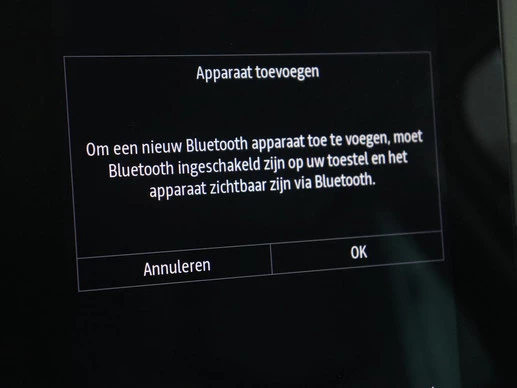 Renault Mégane - Afbeelding 28 van 30