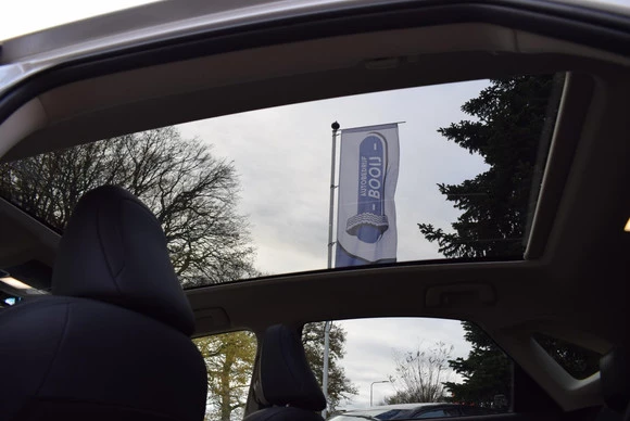 Lexus NX - Afbeelding 16 van 30