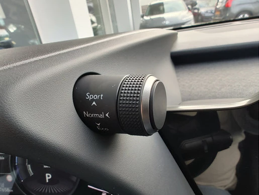 Lexus UX - Afbeelding 30 van 30