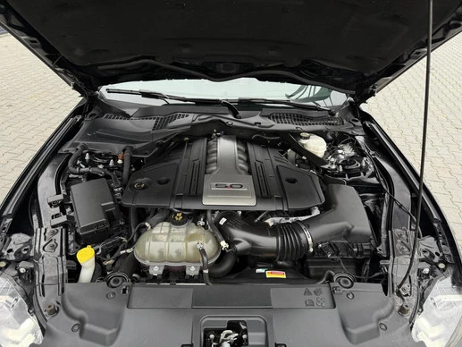 Ford Mustang - Afbeelding 25 van 29