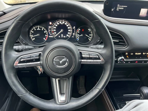 Mazda CX-30 - Afbeelding 21 van 30