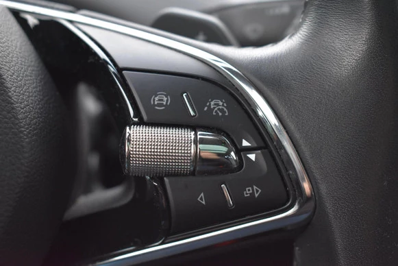 Škoda Enyaq iV - Afbeelding 19 van 30