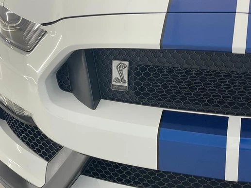 Ford Mustang - Afbeelding 20 van 24