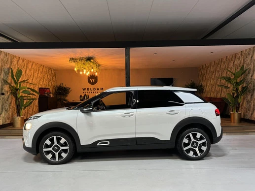 Citroën C4 Cactus - Afbeelding 1 van 30