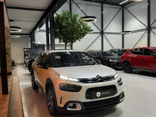 Citroën C4 Cactus - Afbeelding 7 van 30