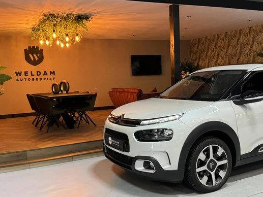Citroën C4 Cactus - Afbeelding 8 van 30