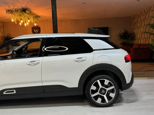 Citroën C4 Cactus - Afbeelding 12 van 30