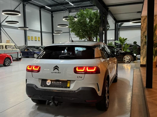 Citroën C4 Cactus - Afbeelding 14 van 30