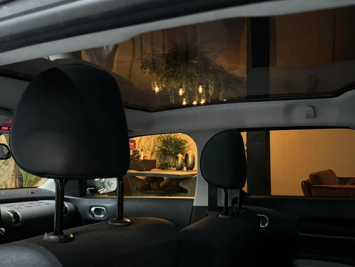 Citroën C4 Cactus - Afbeelding 23 van 30