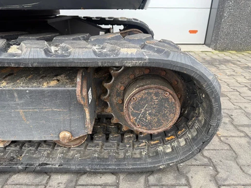 Bobcat  - Afbeelding 12 van 28