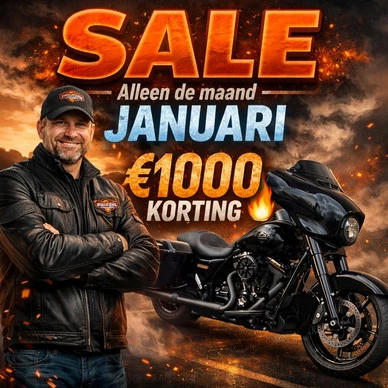 Harley-Davidson Street Glide - Afbeelding 1 van 17