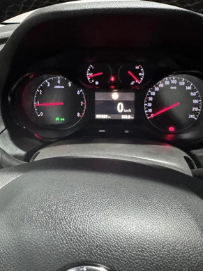 Opel Grandland X - Afbeelding 14 van 14