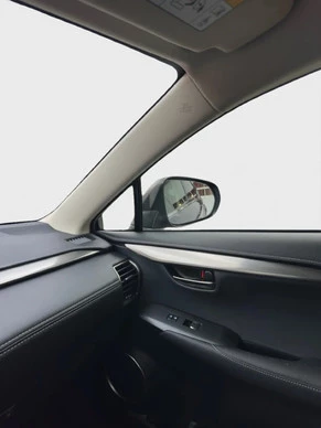 Lexus NX - Afbeelding 17 van 17