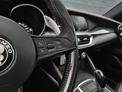 Alfa Romeo Stelvio - Afbeelding 15 van 22
