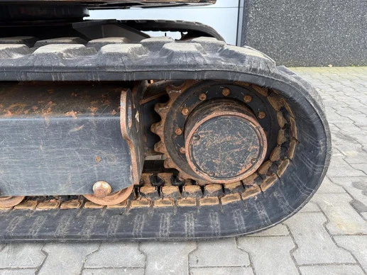 Bobcat  - Afbeelding 4 van 30