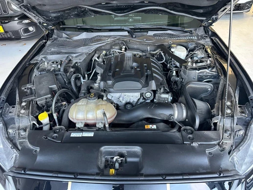 Ford Mustang - Afbeelding 9 van 21