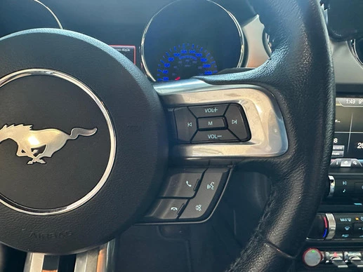 Ford Mustang - Afbeelding 15 van 21