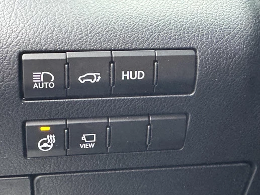 Lexus RX - Afbeelding 25 van 30