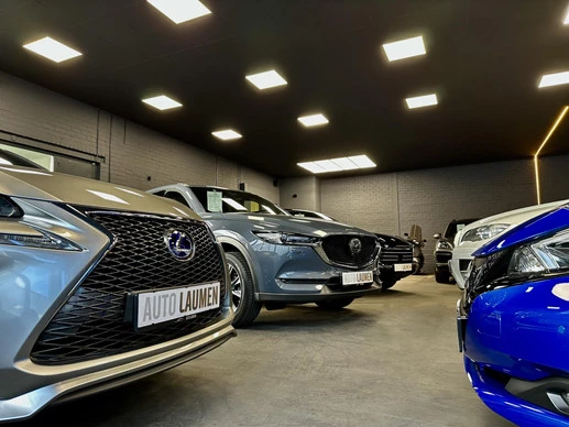 Lexus RX - Afbeelding 4 van 6