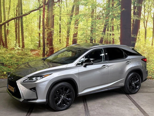 Lexus RX - Afbeelding 1 van 30