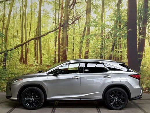 Lexus RX - Afbeelding 5 van 30