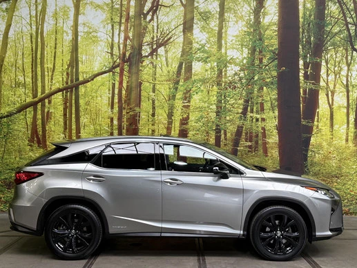 Lexus RX - Afbeelding 8 van 30