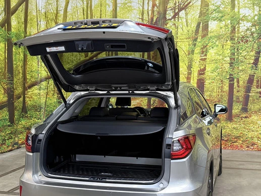 Lexus RX - Afbeelding 18 van 30