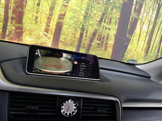 Lexus RX - Afbeelding 23 van 30