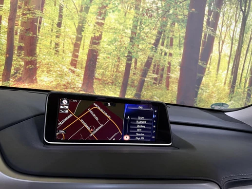 Lexus RX - Afbeelding 24 van 30