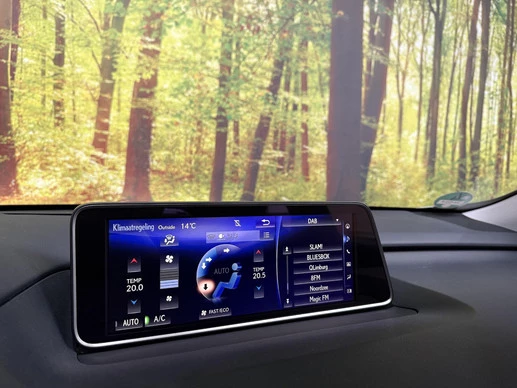 Lexus RX - Afbeelding 25 van 30