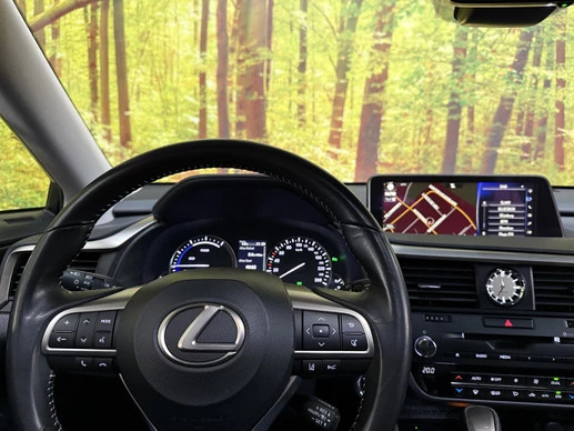 Lexus RX - Afbeelding 27 van 30