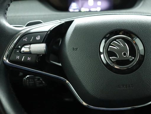 Škoda Enyaq iV - Afbeelding 10 van 30