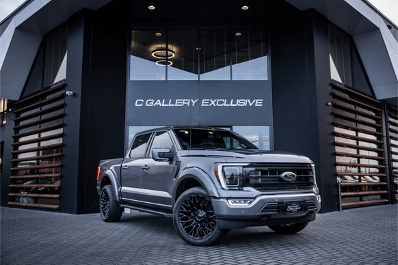 Ford F-150 - Afbeelding 1 van 30