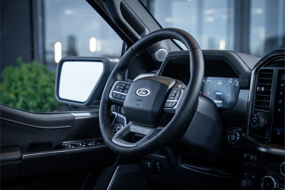 Ford F-150 - Afbeelding 11 van 30