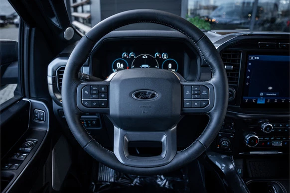 Ford F-150 - Afbeelding 12 van 30