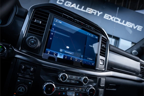 Ford F-150 - Afbeelding 15 van 30