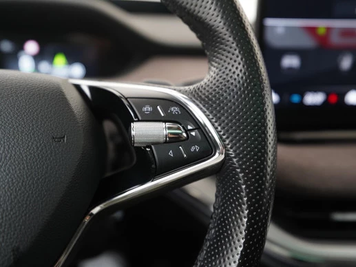 Škoda Enyaq iV - Afbeelding 9 van 30