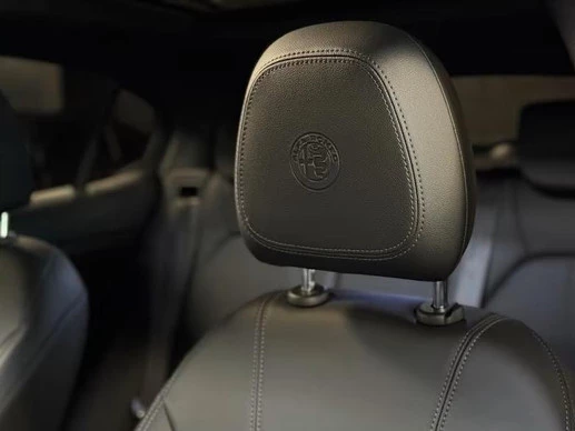 Alfa Romeo Stelvio - Afbeelding 11 van 24