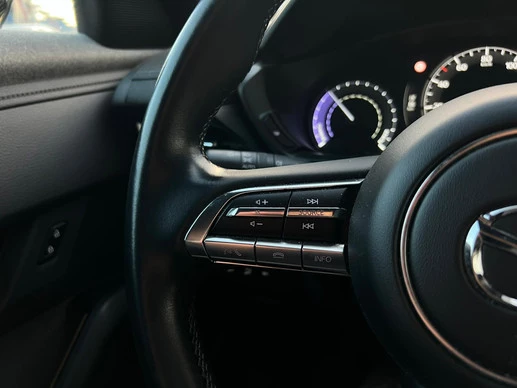 Mazda MX-30 - Afbeelding 13 van 20