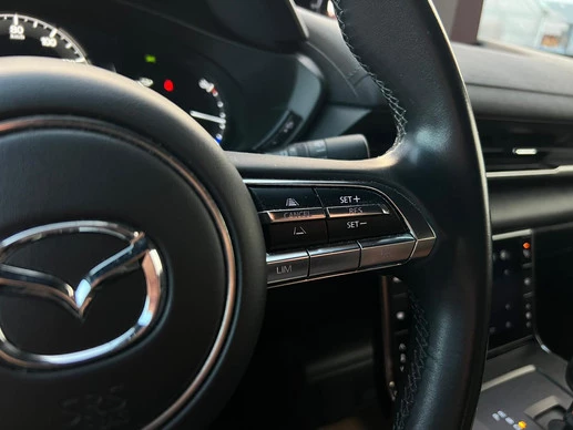 Mazda MX-30 - Afbeelding 14 van 20