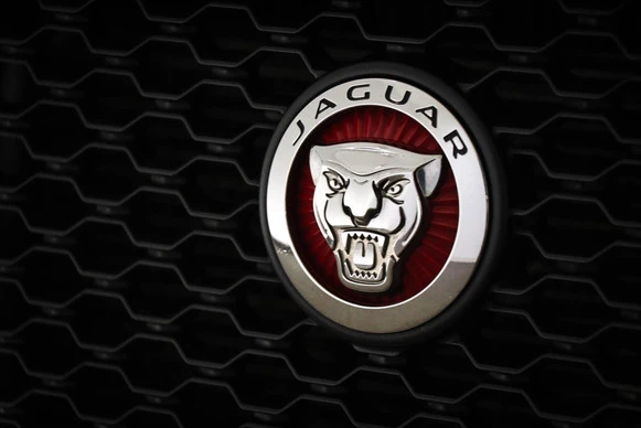 Jaguar F-PACE - Afbeelding 19 van 30