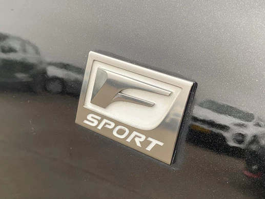 Lexus RX - Afbeelding 26 van 30