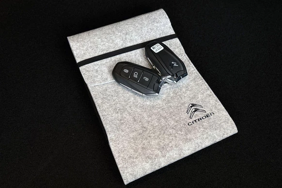 Citroën ë-C4 X - Afbeelding 29 van 30