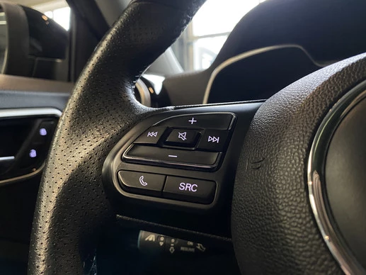 MG ZS EV - Afbeelding 24 van 30