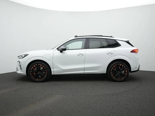 CUPRA Terramar - Afbeelding 25 van 30